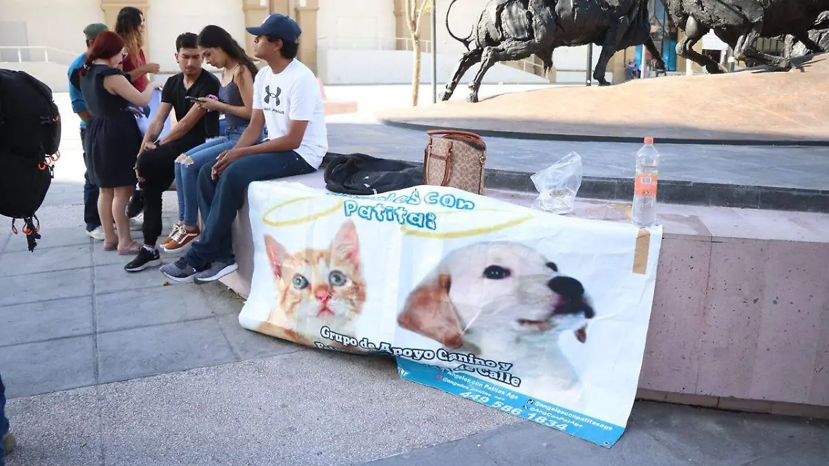 MANIFESTACIÓN PERRITA
