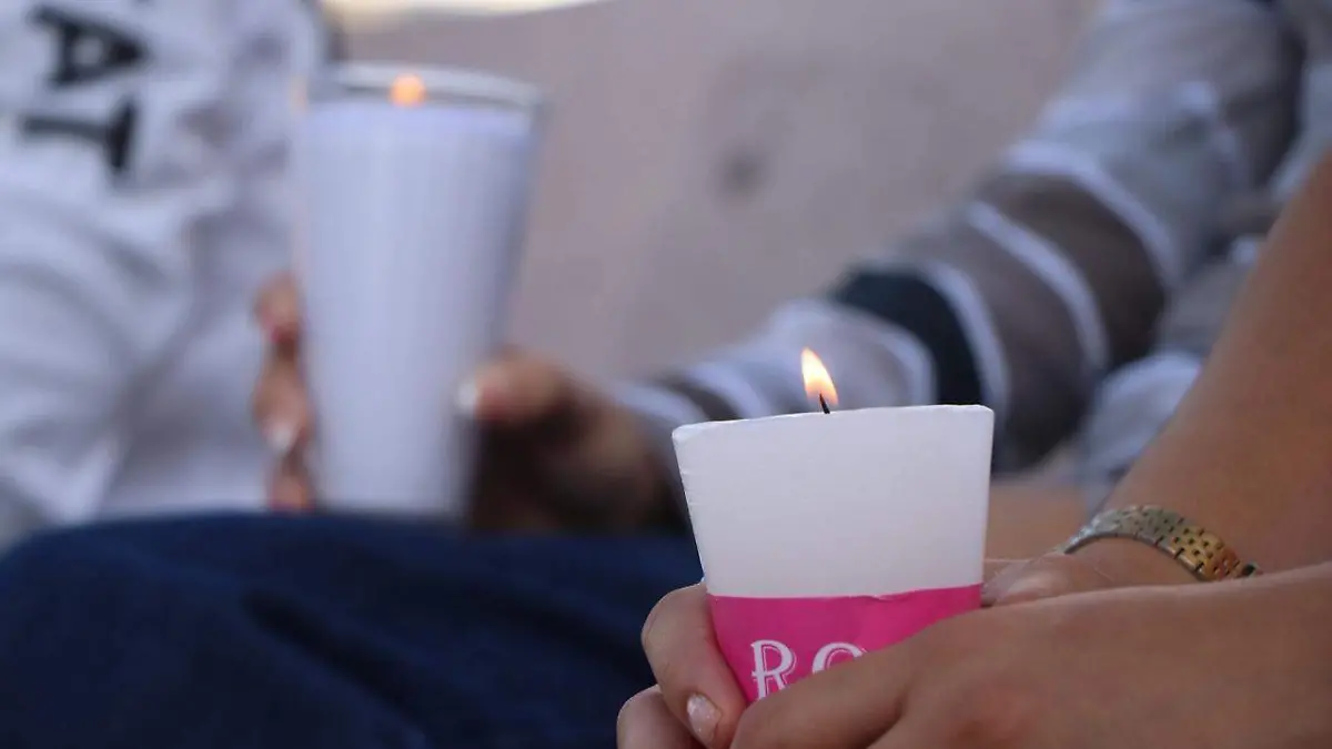 PERRITA EMBESTIDA_NUBE_ANIMALISTAS