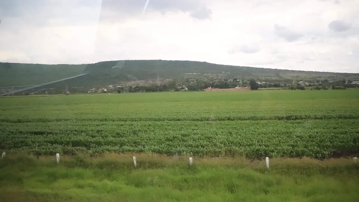 CAMPO-PRESAS-AGRICOLA