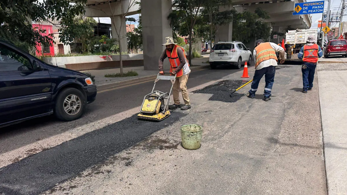 BACHEO 1