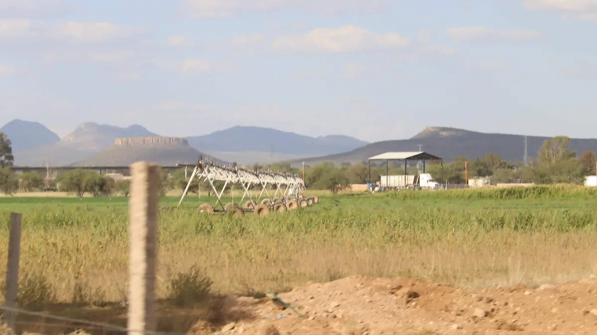 ACTIVIDAD AGRICOLA-CULTIVOS-CAMPO