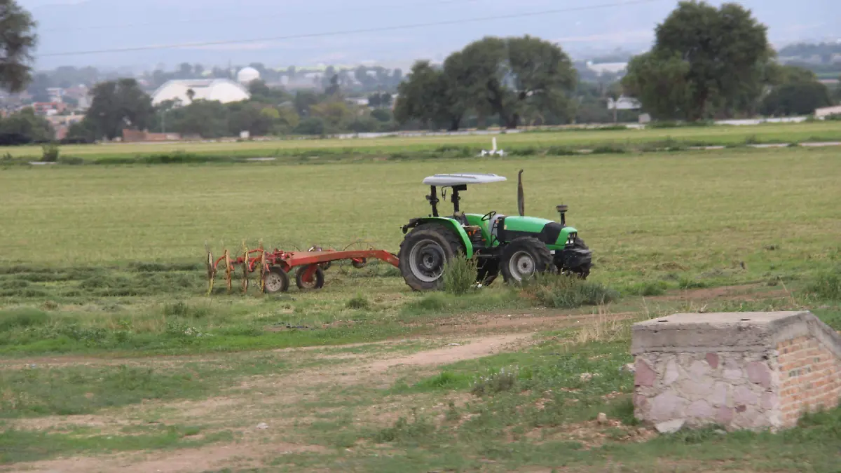 ACTIVIDAD AGRICOLA-CAMPO-CULTIVOS