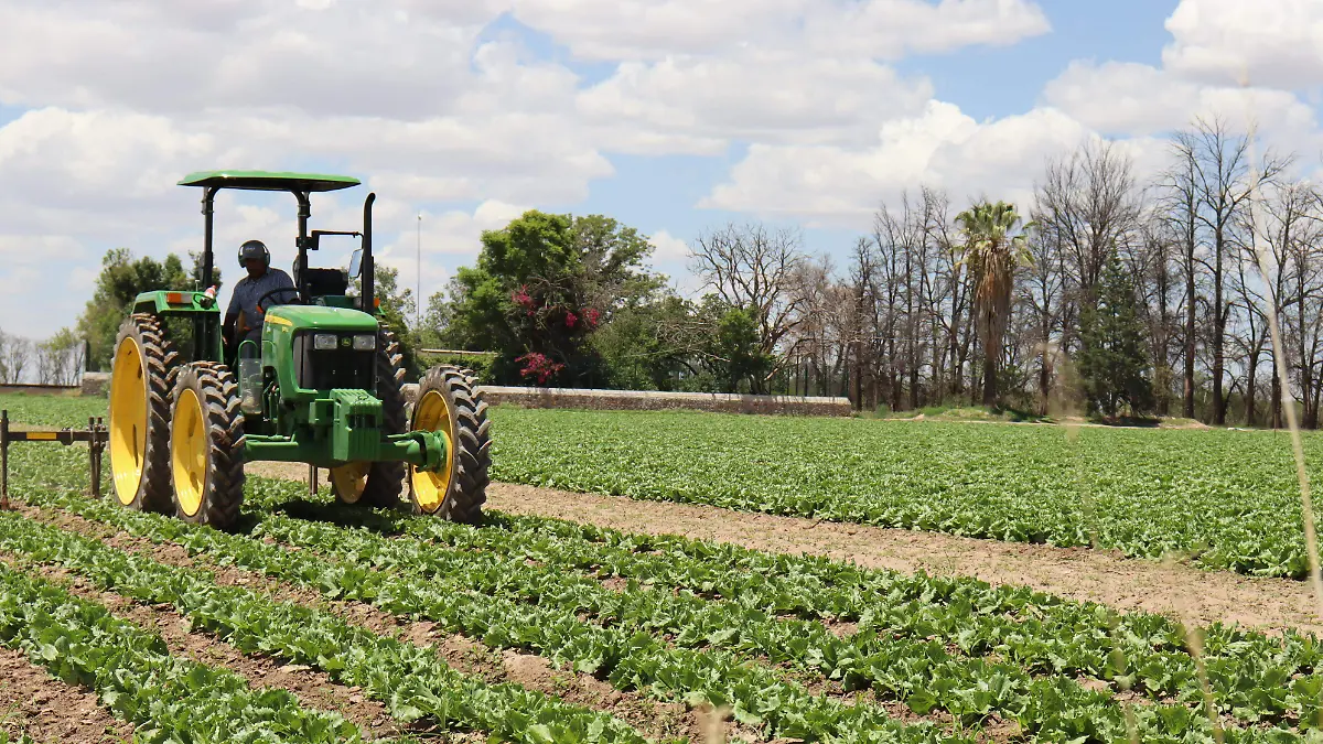 ACTIVIDAD AGRICOLA (4)
