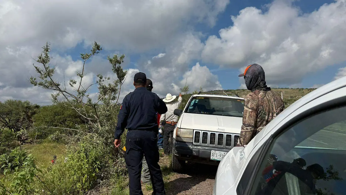DESAPARECIDOS_COLECTIVO DE BÚSQUEDA