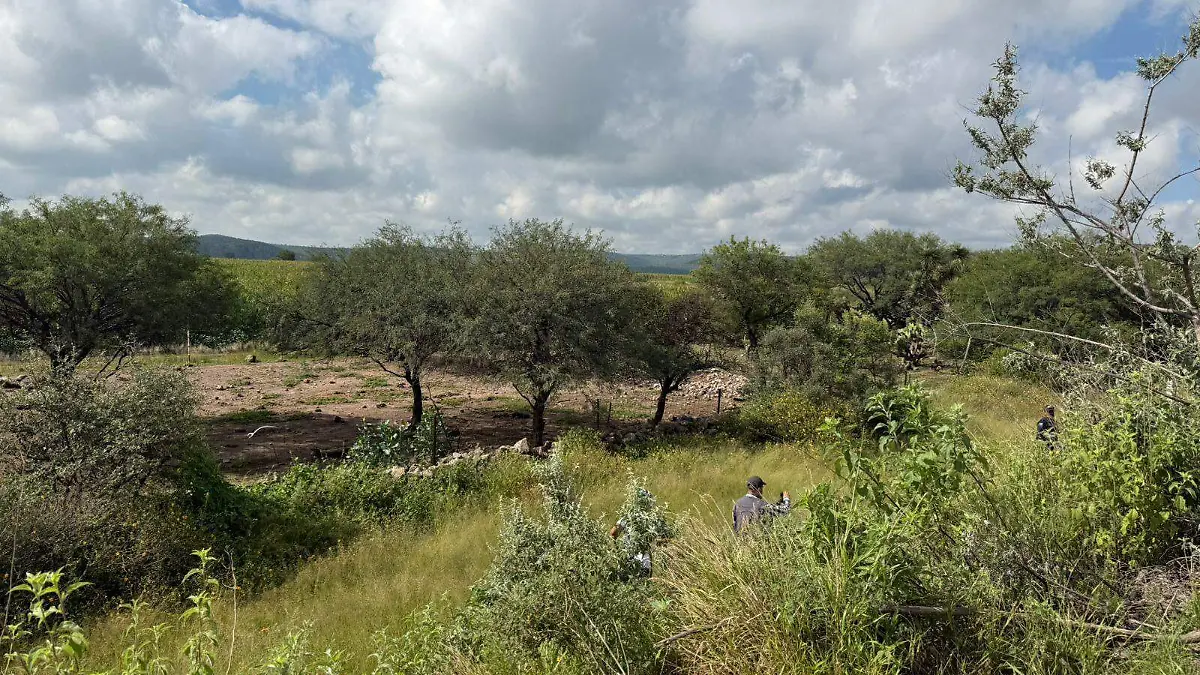 FICHA DESAPARICIÓN_ROMERTO EMMANUEL