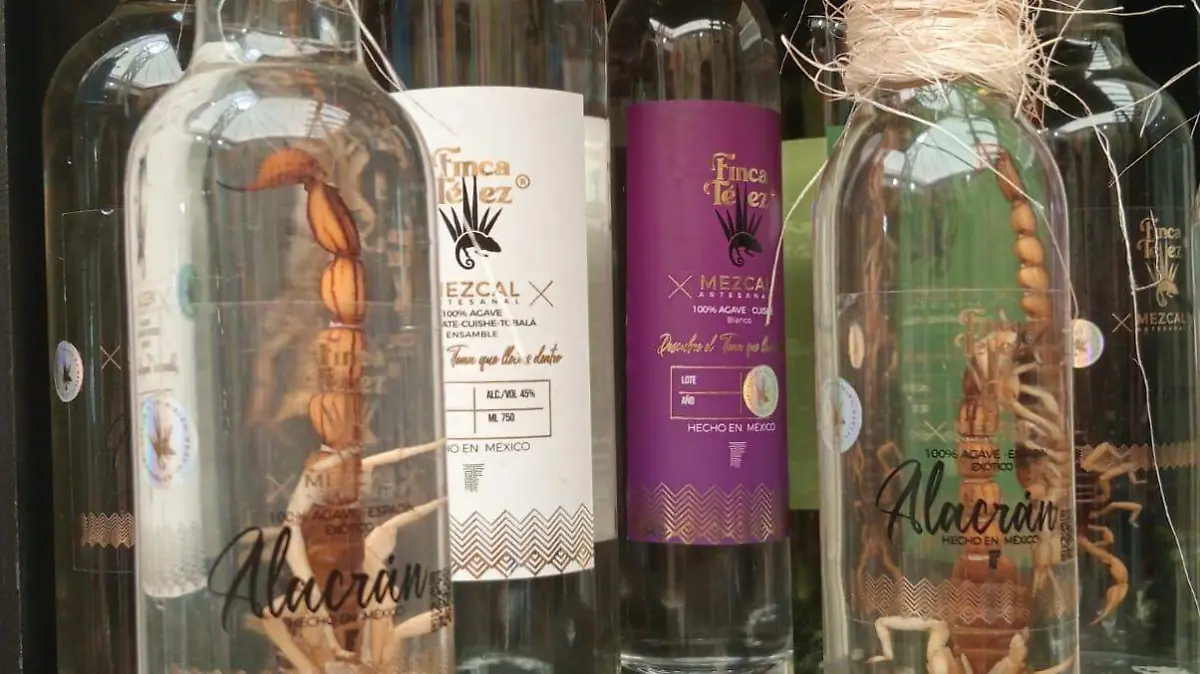 FESTIVAL ARTESANAL_NACIONAL_EDICIÓN 25