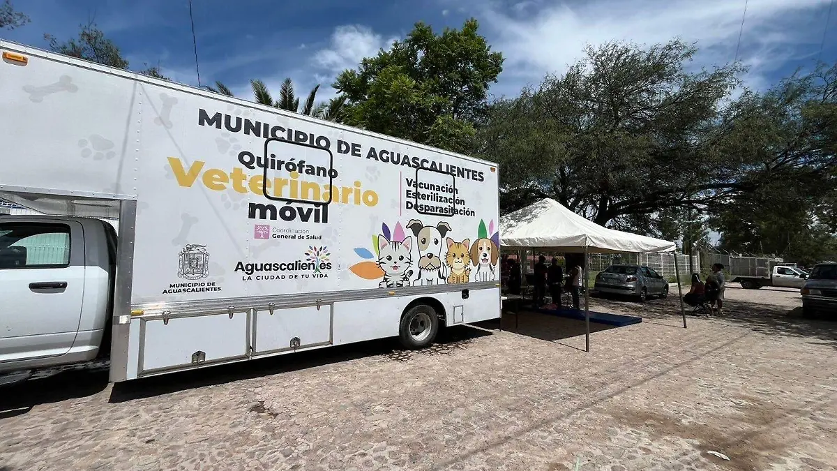 6c75d239-c485-42e1-9a7e-92b2b8bbaeed