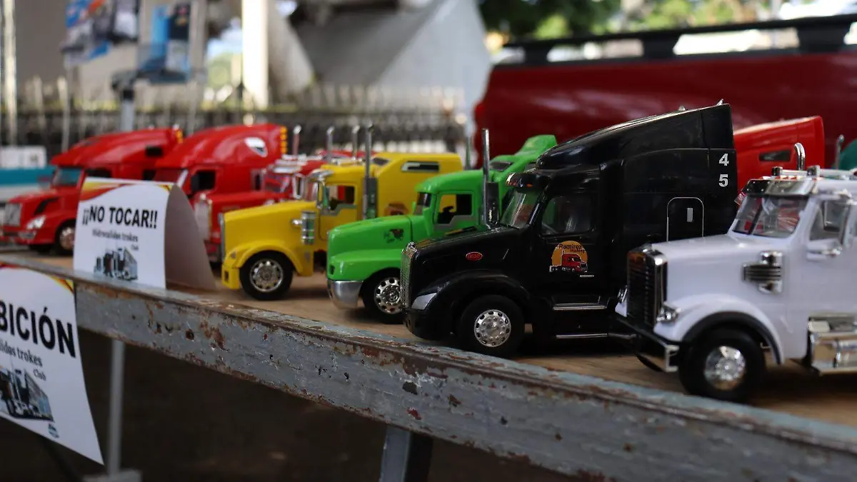 TROKAS SHOW-CARROS-VEHÍCULOS