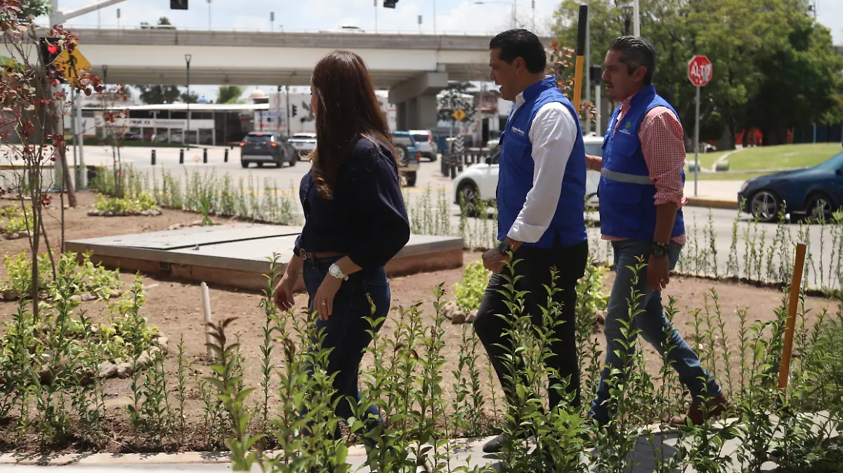 LEO MONTAÑEZ-ARBORIZACIÓN-MEDIO AMBIENTE