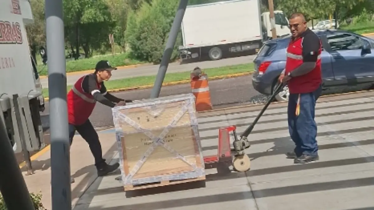 HOSPITAL VETERINARIO-EQUIPO-MASCOTAS