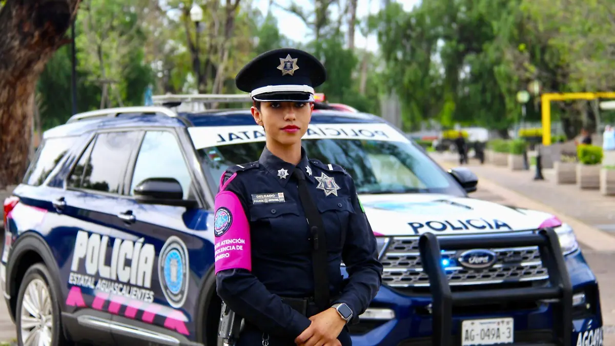 WhatsApp Image 2025-09-05 at 13.21.37