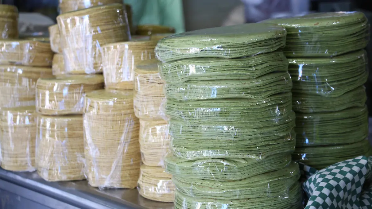 MAIZ_VARIEDAD_COMIDA MEXICANA_ELOTE