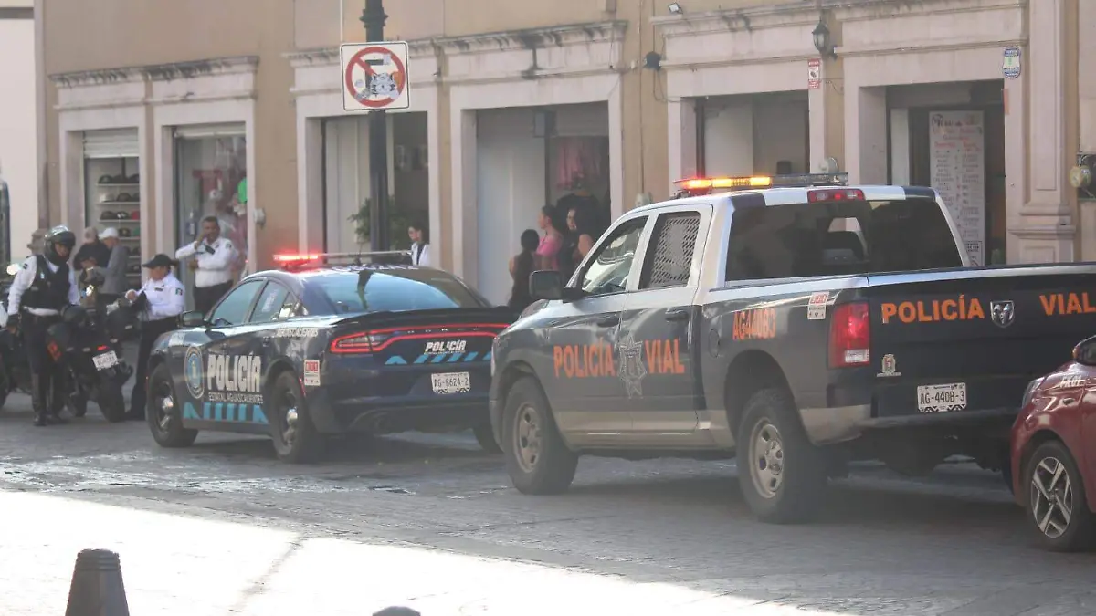 ARTESANA-FALLECIDA-ATROPELLO