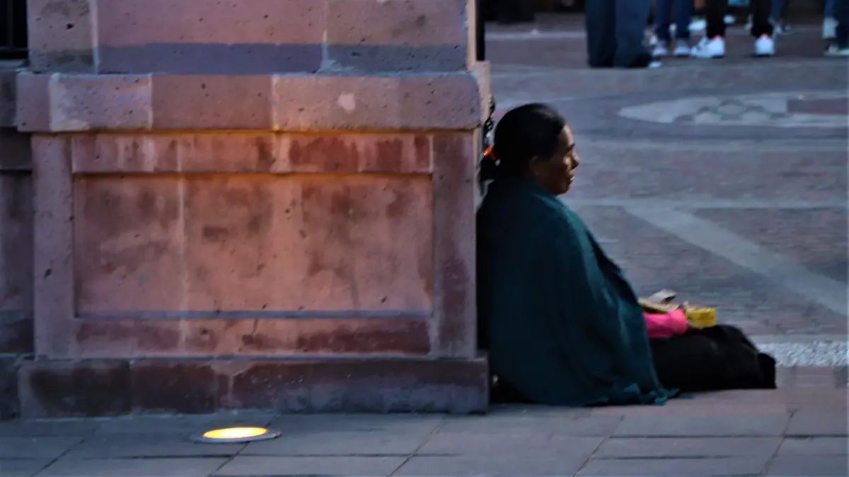 POBREZA-CARENCIAS-DESAROLLO