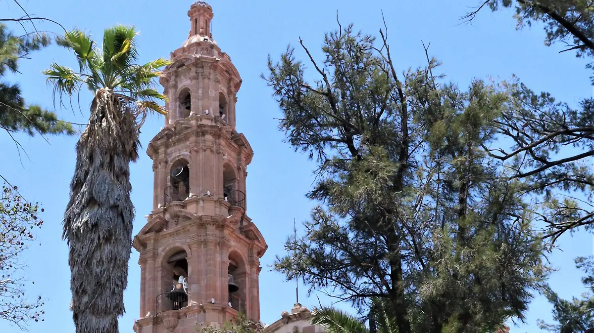CAMPANAS ENCINO (1)