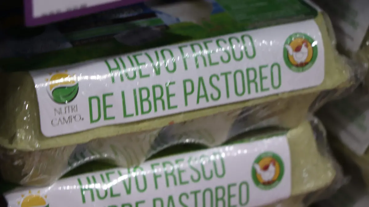 HUEVO-ABASTO-PRODUCCIÓN