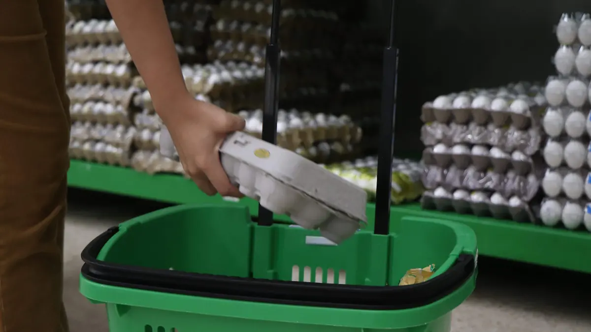 HUEVO-ABASTO-PRODUCCIÓN