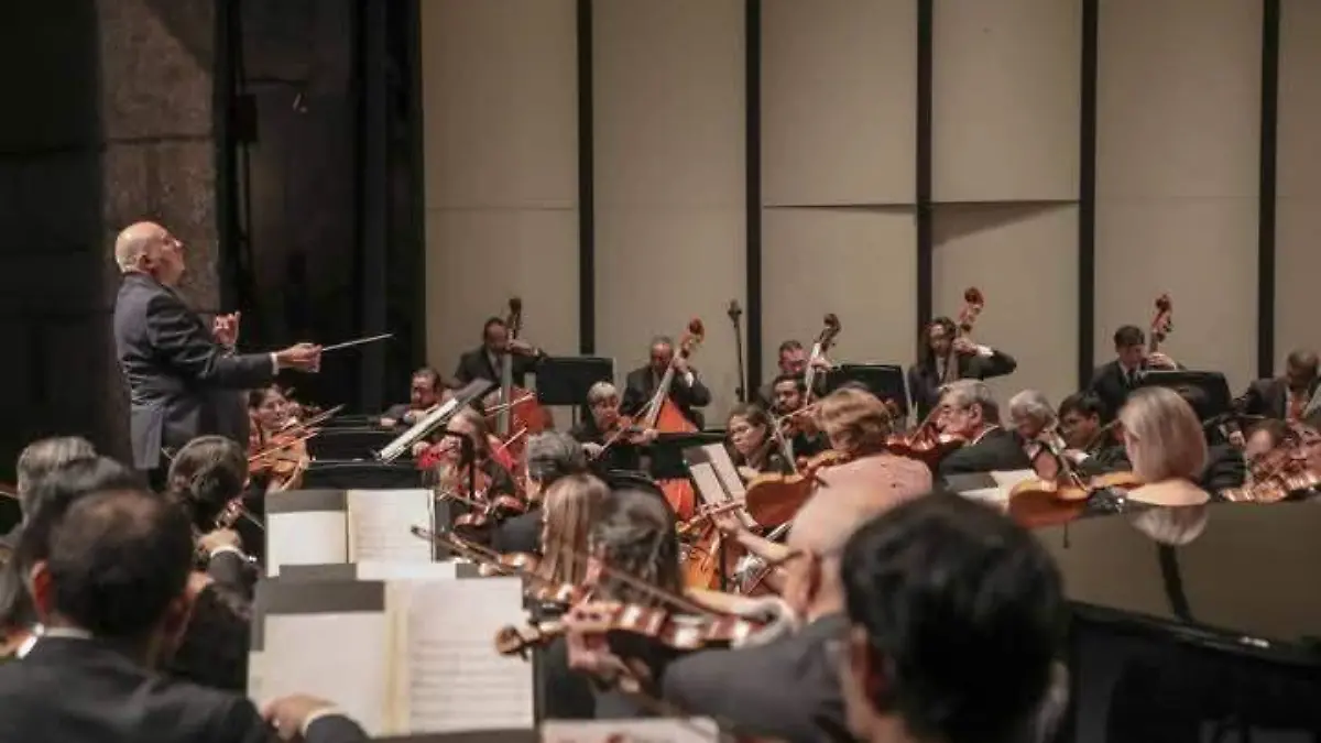 GRILLITO_CRI CRI_MÚSICA_OSA