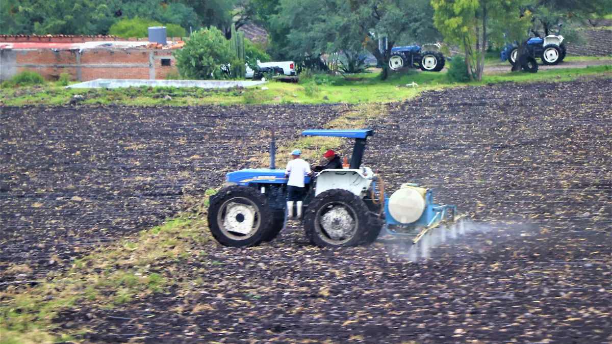 APOYOS-PRODUCTORES-CULTIVOS