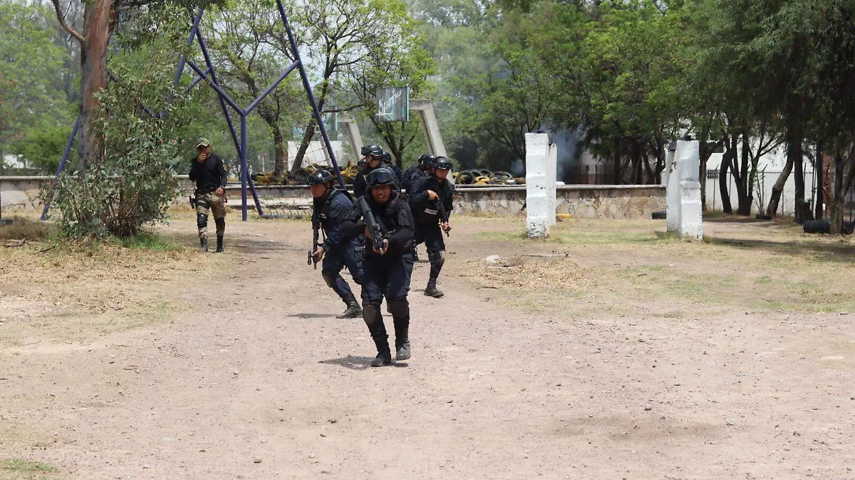 POLICIAS-SEGURIDAD PÚBLICA-FORMACIÓN