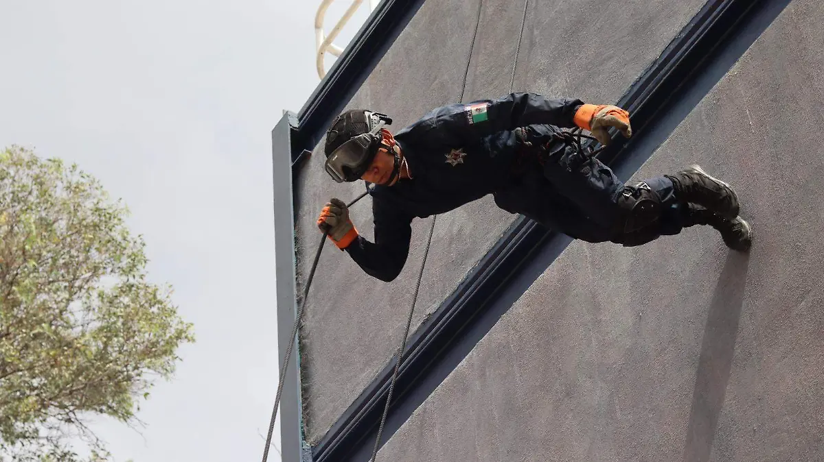 POLICIAS-SEGURIDAD PÚBLICA-FORMACIÓN