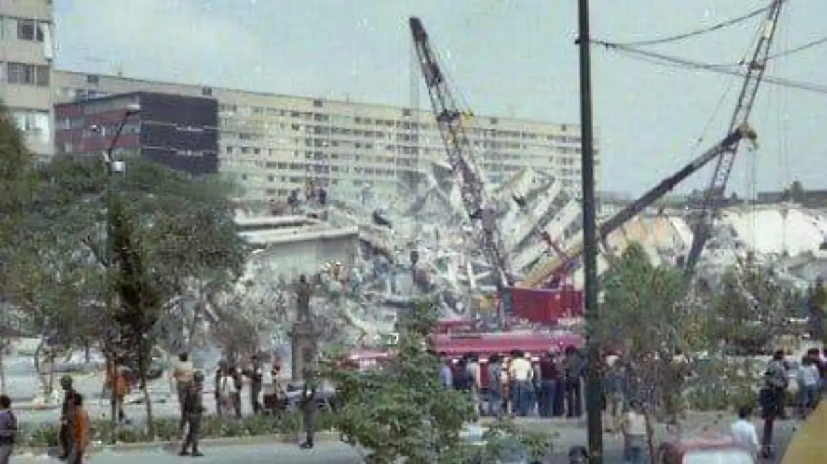 SISMO 6