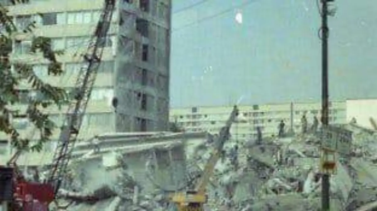 SISMO 7