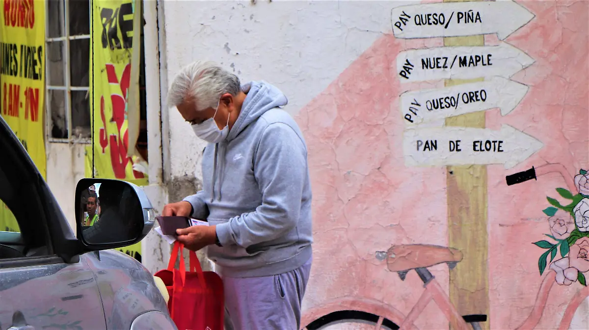 ALZHEIMER-DEMENCIA-ADULTOS MAYORES