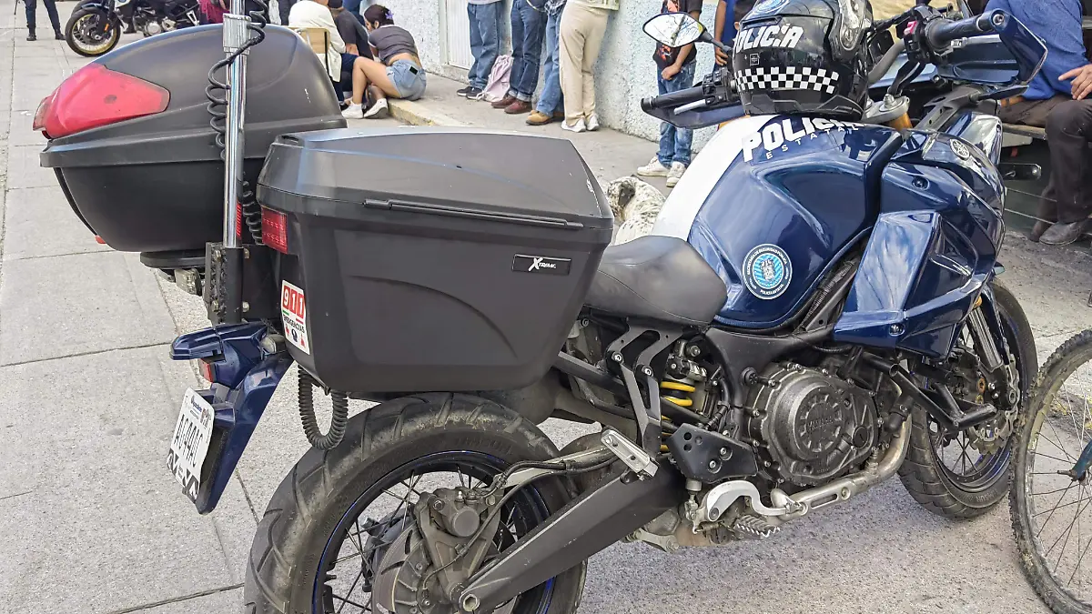 MUERTO-CONSTITUCIÓN-VIOLENCIA