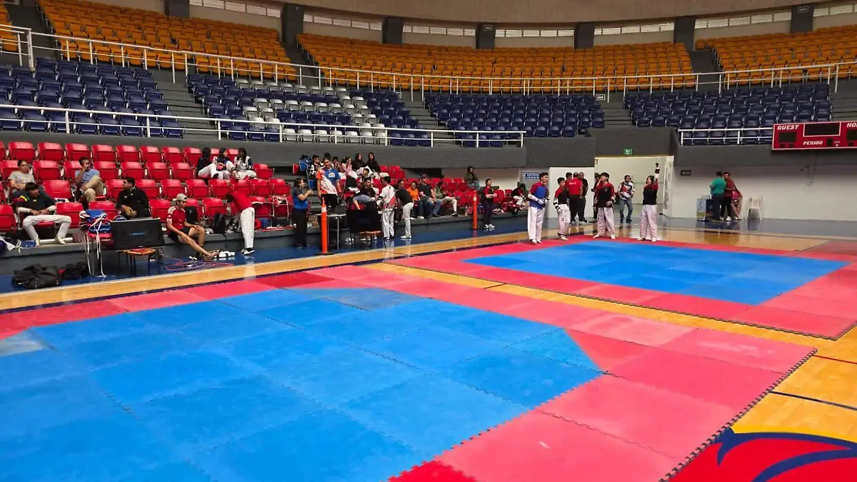 TAEKWONDO_DEPORTES_CAMPEONATO_COMBATE
