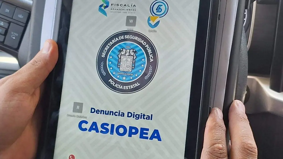 CASIOPEA-APLICACION-DENUNCIA