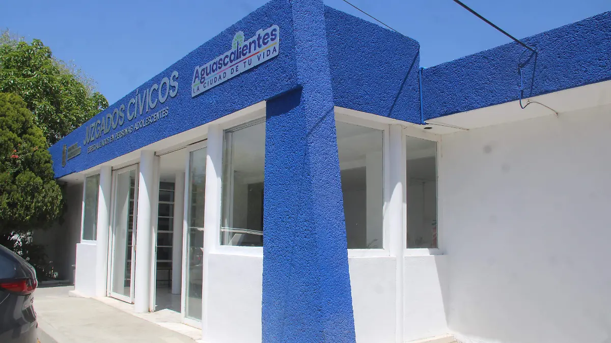 JUZGADOS CÍVICOS, ADICCIONES (2)