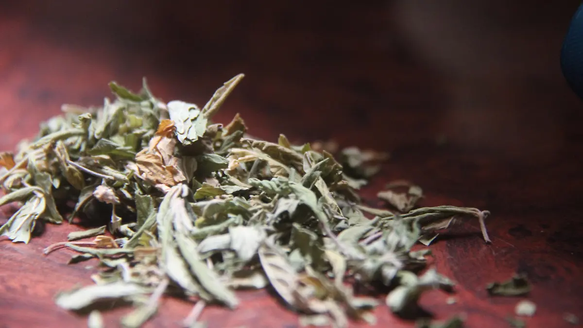 JUZGADOS CÍVICOS_ADICCIONES_DROGAS