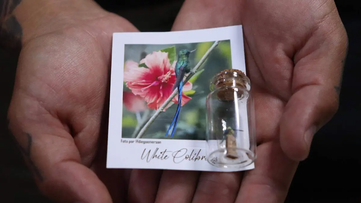 COLIBRÍ 1
