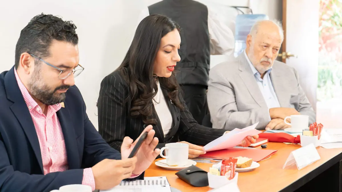 CONSTRUCTORES-CONSEJO-PROGRAMA