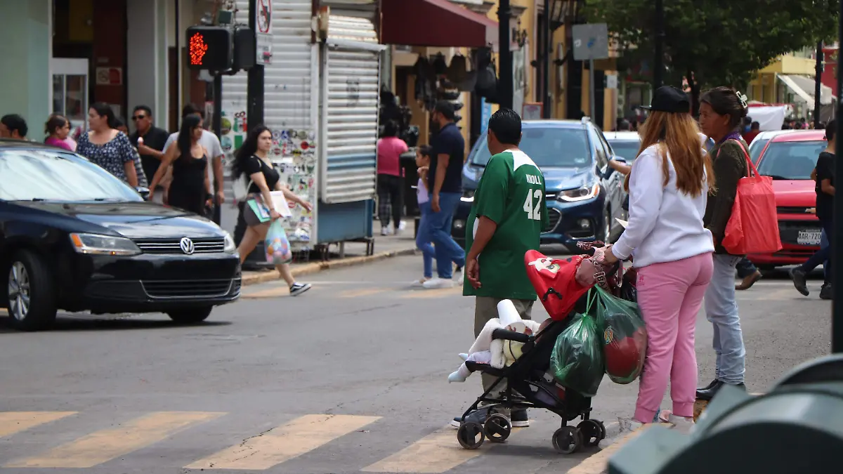 EMBARAZO ADOLESCENTES_CALIDAD DE VIDA_INEGI