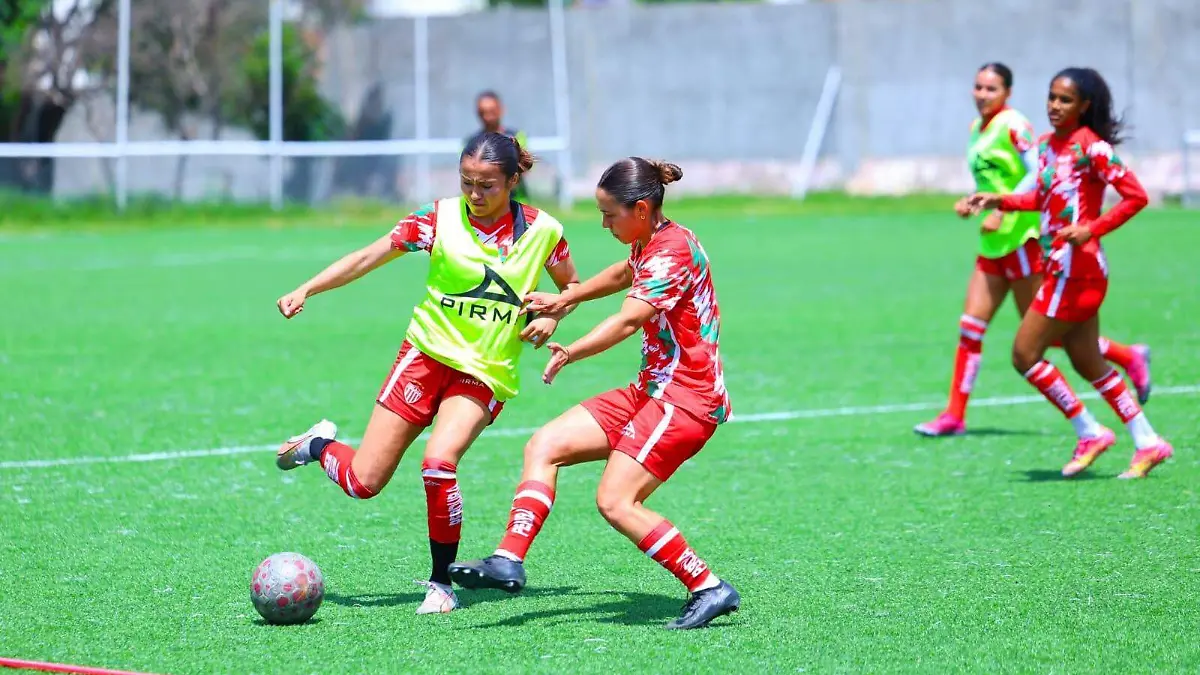 CENTELLAS-NECAXA-MONTERREY