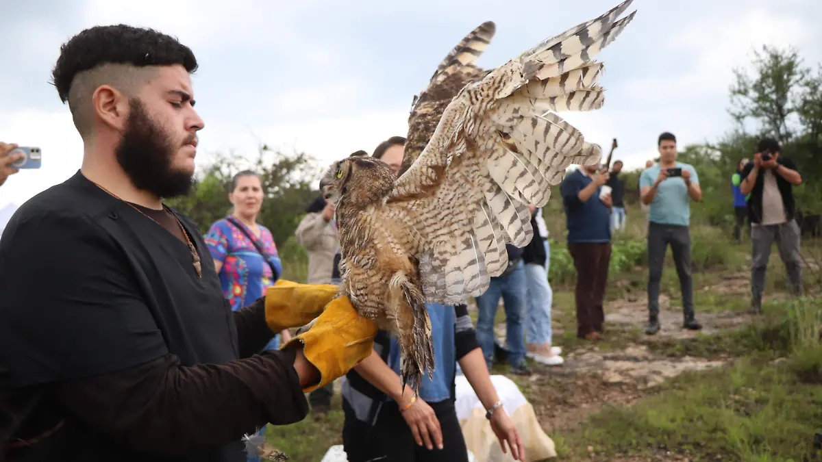 FAUNA SILVESTRE-ANIMALES-AMBIENTE