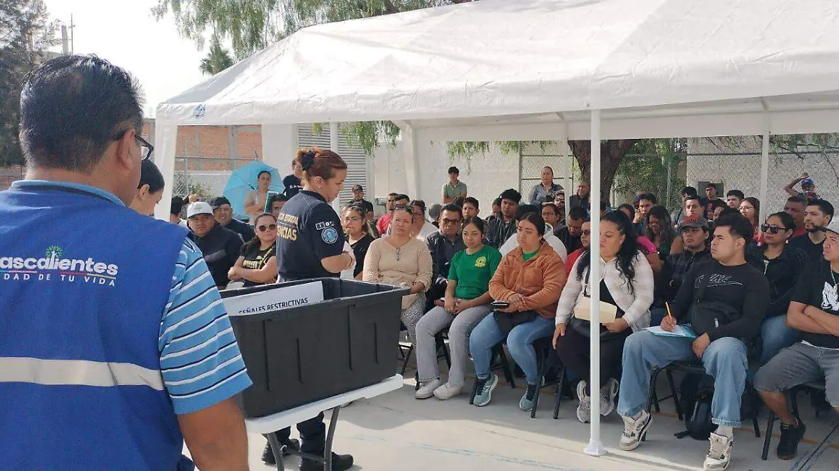 LICENCIAS-CONDUCIR-TRAMITES