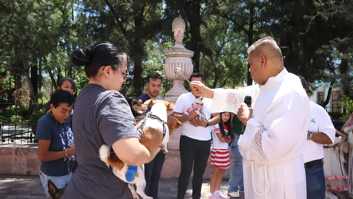 MASCOTAS_PERRITOS_BENDICIÓN