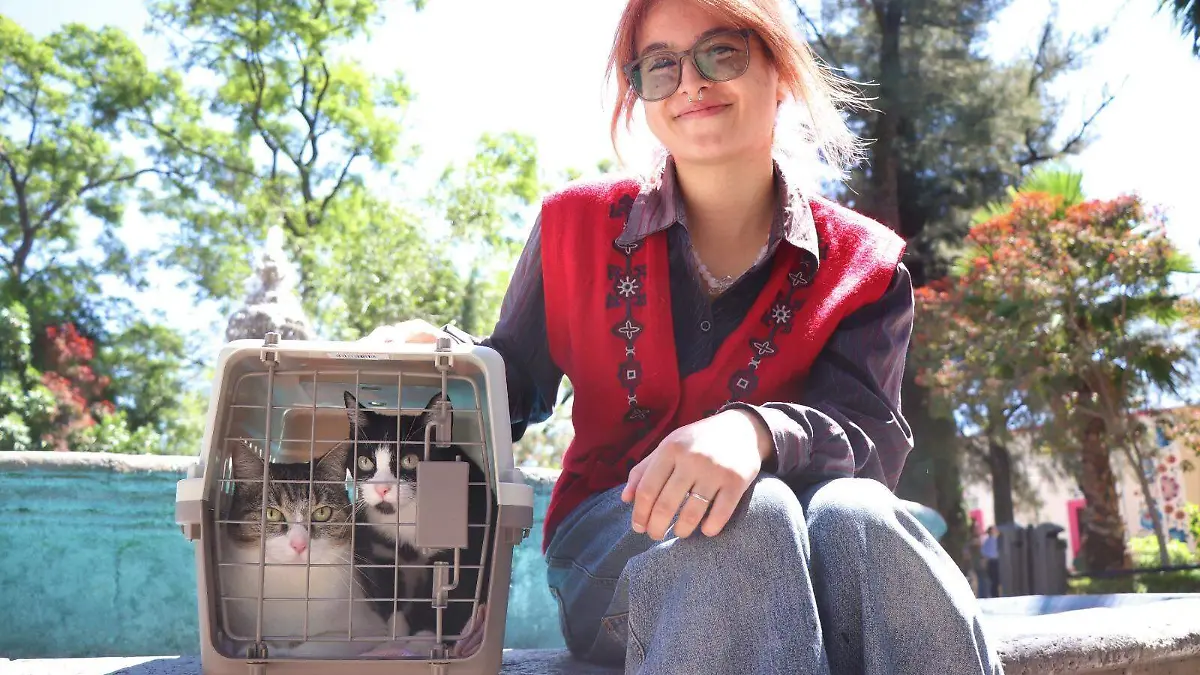 MASCOTAS_PERRITOS_BENDICIÓN