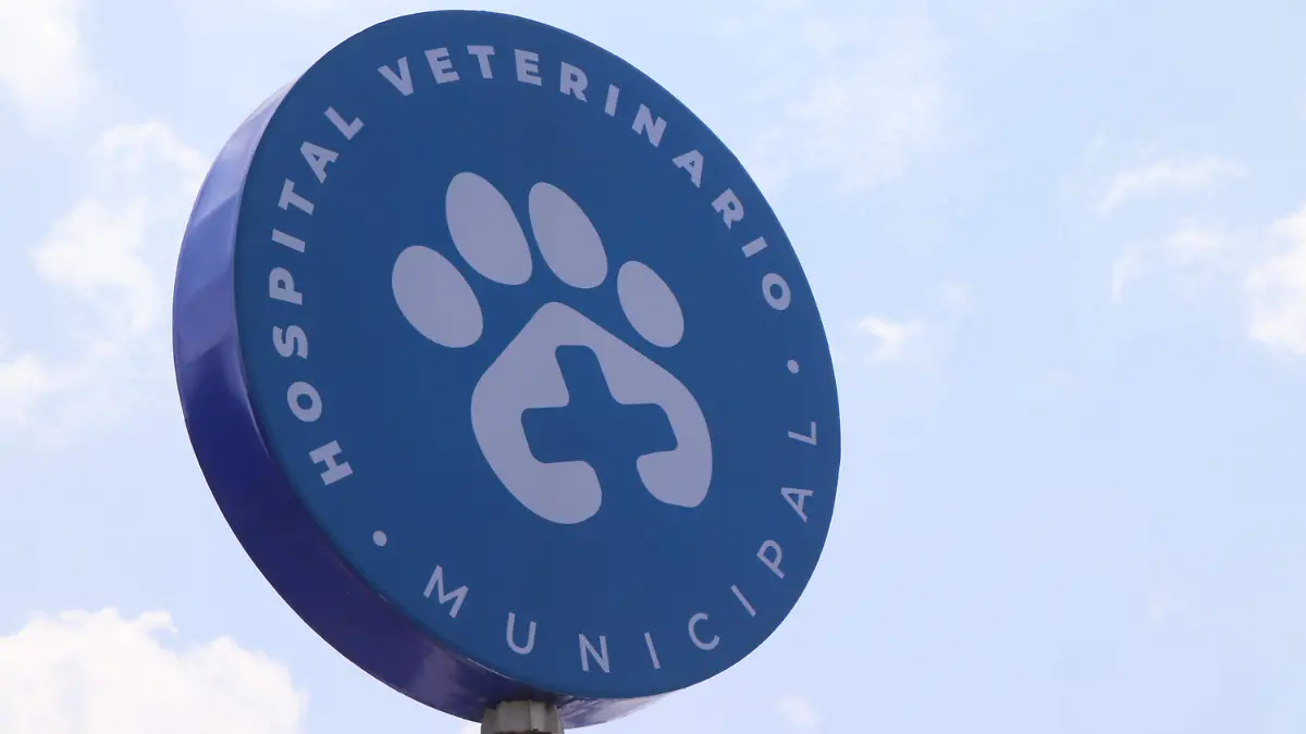 HOSPITAL VETERINARIO (3)