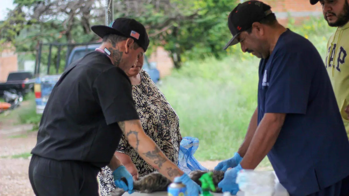 QUIROFANO MOVIL-VETERINARIA-MASCOTAS