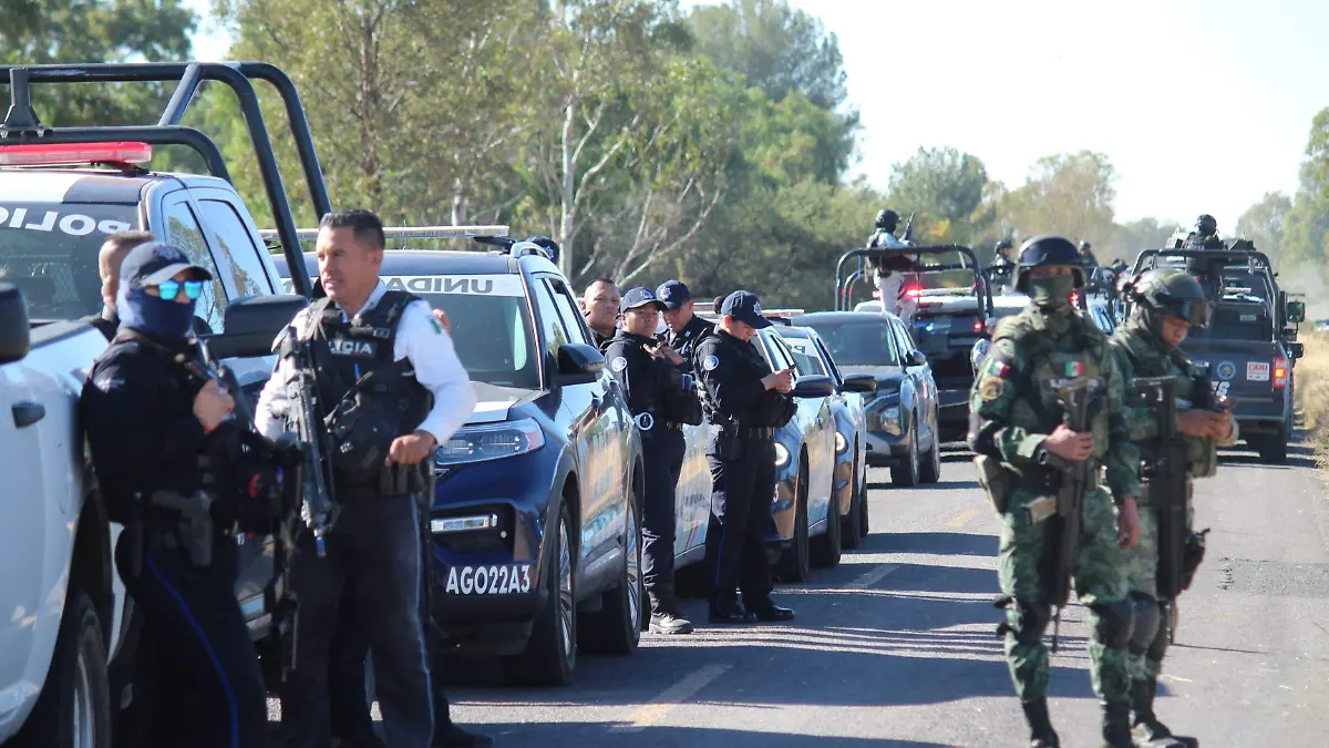 DELITOS_HOMICIDIO_MUERTES_INSEGURIDAD_VIOLENCIA