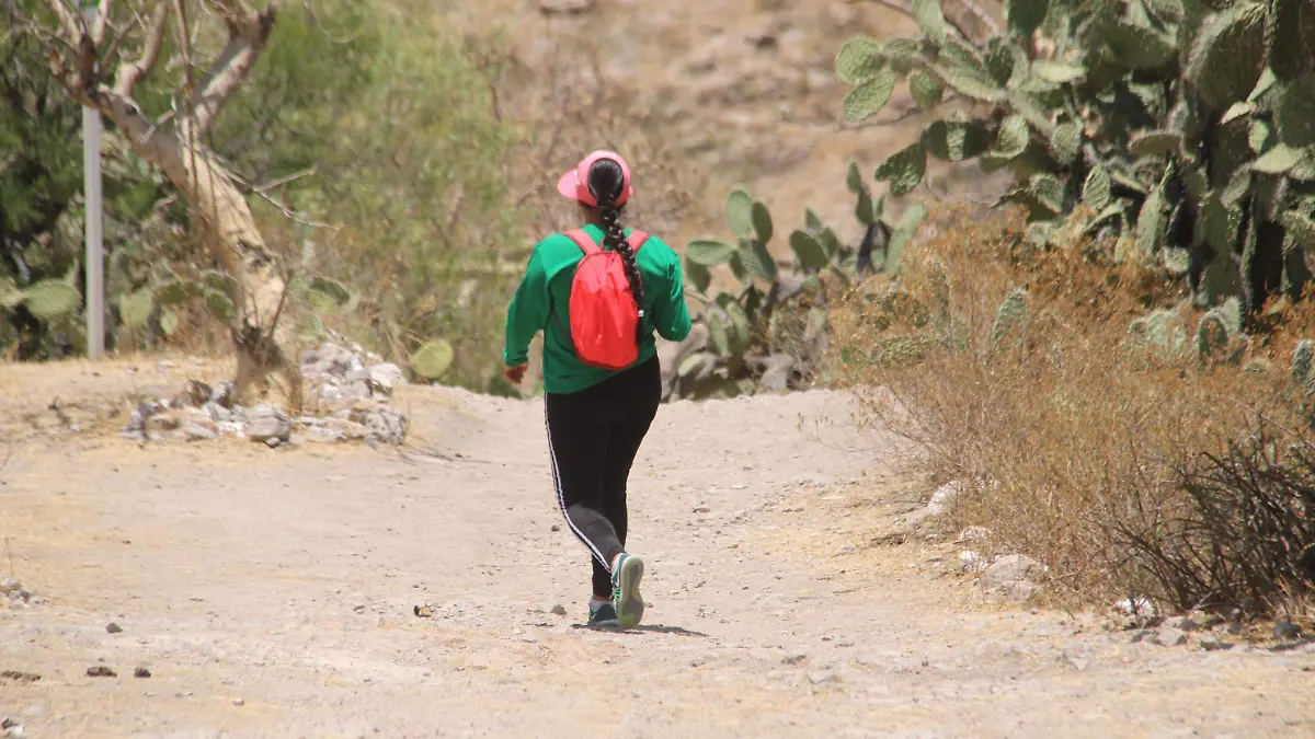 TUNEL DE POTRERILLO_TURISMO_RINCON DE ROMOS