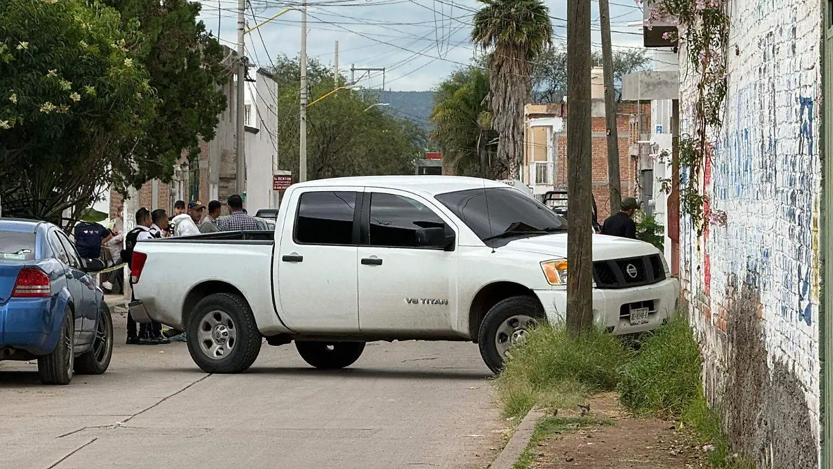 BREVES 246 (1)