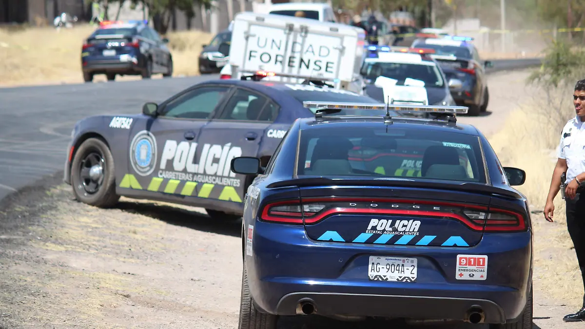 PARCELA_SALTO DE LOS SALADO_HOMICIDIO