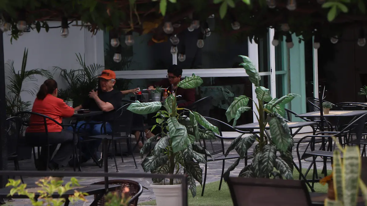 ESPACIO PERRIHIJOS_PET FRIENDLY