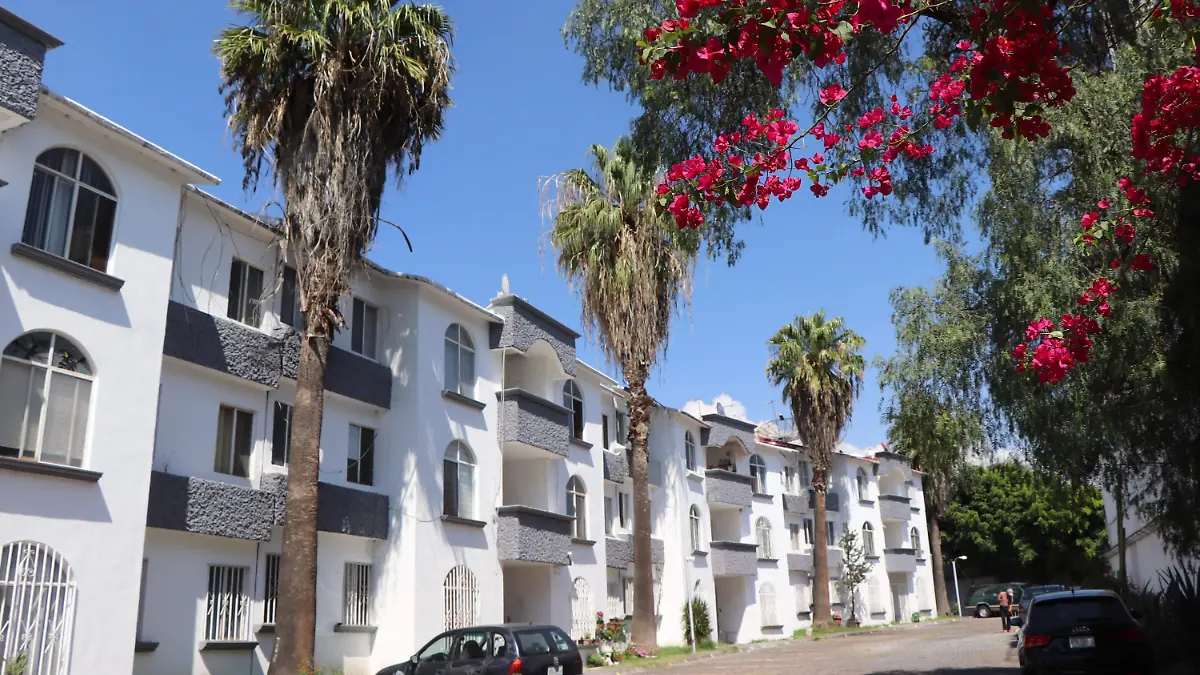 ABEJAS-PANALES-VECINOS