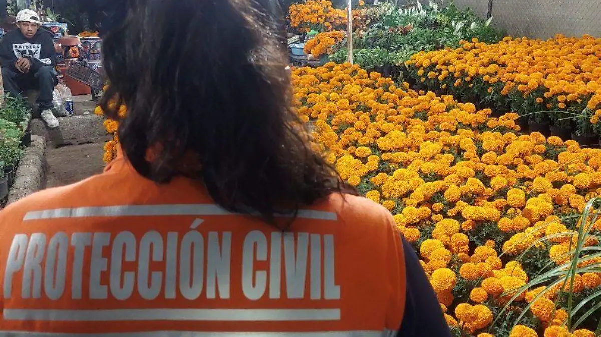 CALAVERITAS_PUESTITOS DE MUERTOS